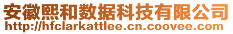 安徽熙和數(shù)據(jù)科技有限公司