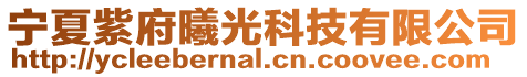 寧夏紫府曦光科技有限公司