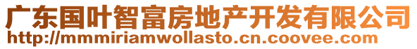 廣東國葉智富房地產開發有限公司