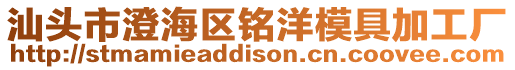 汕頭市澄海區銘洋模具加工廠