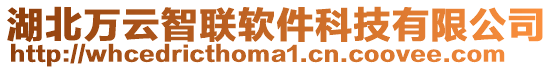 湖北萬云智聯軟件科技有限公司