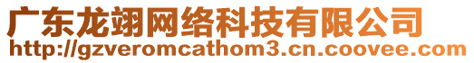廣東龍翊網絡科技有限公司