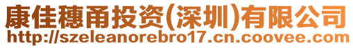 康佳穗甬投資(深圳)有限公司