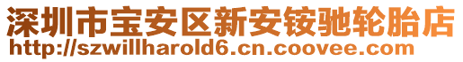 深圳市寶安區新安銨馳輪胎店
