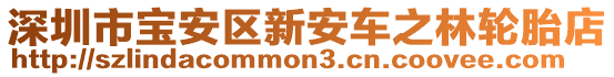 深圳市寶安區(qū)新安車之林輪胎店