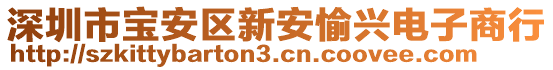 深圳市寶安區新安愉興電子商行