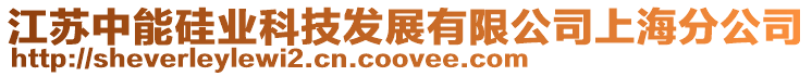 江蘇中能硅業科技發展有限公司上海分公司