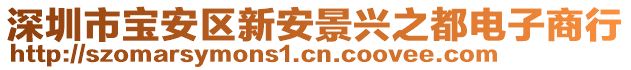 深圳市寶安區新安景興之都電子商行