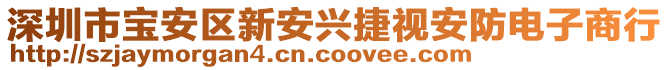 深圳市寶安區新安興捷視安防電子商行