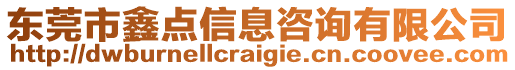 東莞市鑫點(diǎn)信息咨詢(xún)有限公司