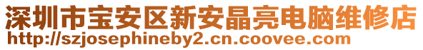 深圳市寶安區新安晶亮電腦維修店