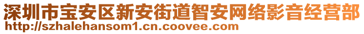 深圳市寶安區新安街道智安網絡影音經營部