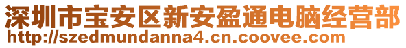 深圳市寶安區新安盈通電腦經營部