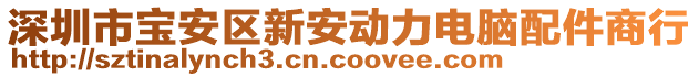 深圳市寶安區(qū)新安動力電腦配件商行