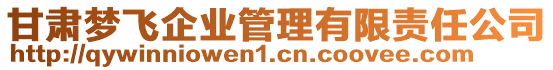 甘肅夢飛企業管理有限責任公司