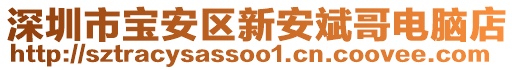深圳市寶安區(qū)新安斌哥電腦店