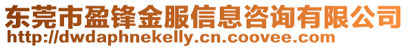 東莞市盈鋒金服信息咨詢有限公司