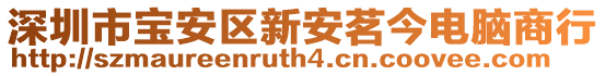 深圳市寶安區新安茗今電腦商行