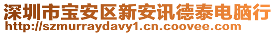 深圳市寶安區新安訊德泰電腦行