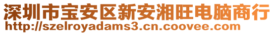 深圳市寶安區新安湘旺電腦商行