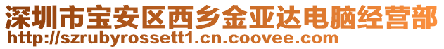 深圳市寶安區(qū)西鄉(xiāng)金亞達電腦經(jīng)營部