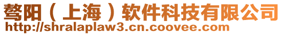驁陽(上海)軟件科技有限公司