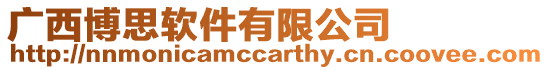 廣西博思軟件有限公司