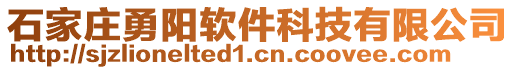 石家莊勇陽軟件科技有限公司