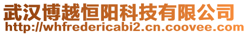 武漢博越恒陽科技有限公司
