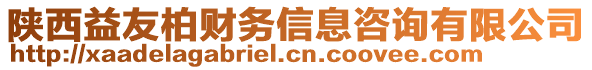 陜西益友柏財務信息咨詢有限公司