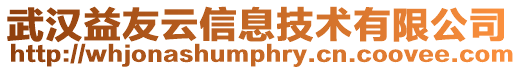武漢益友云信息技術有限公司