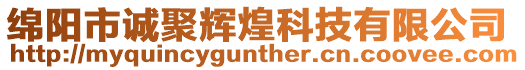 綿陽市誠聚輝煌科技有限公司