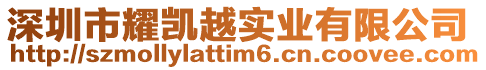 深圳市耀凱越實業有限公司