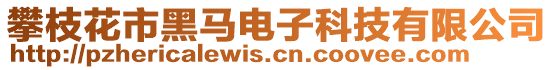 攀枝花市黑馬電子科技有限公司