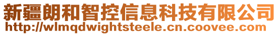 新疆朗和智控信息科技有限公司