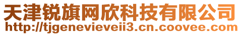天津銳旗網欣科技有限公司