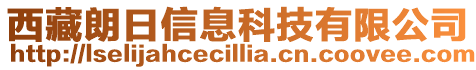 西藏朗日信息科技有限公司