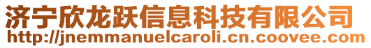 濟(jì)寧欣龍躍信息科技有限公司