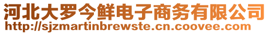 河北大羅今鮮電子商務(wù)有限公司