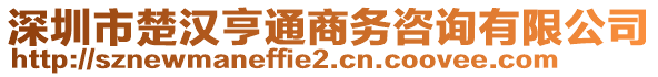 深圳市楚漢亨通商務咨詢有限公司