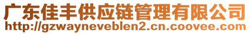 廣東佳豐供應鏈管理有限公司