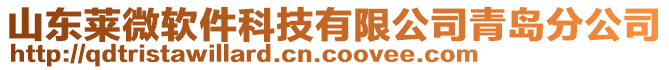 山東萊微軟件科技有限公司青島分公司