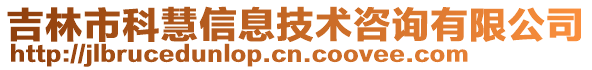 吉林市科慧信息技術(shù)咨詢(xún)有限公司