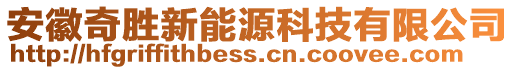 安徽奇勝新能源科技有限公司