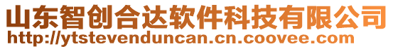 山東智創(chuàng)合達(dá)軟件科技有限公司