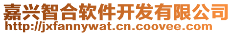 嘉興智合軟件開發(fā)有限公司