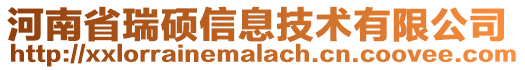 河南省瑞碩信息技術有限公司