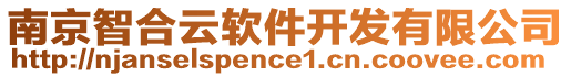 南京智合云軟件開(kāi)發(fā)有限公司
