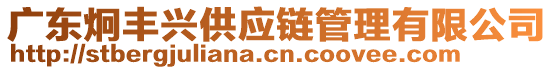 廣東炯豐興供應(yīng)鏈管理有限公司