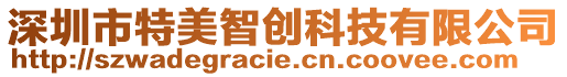 深圳市特美智創(chuàng)科技有限公司